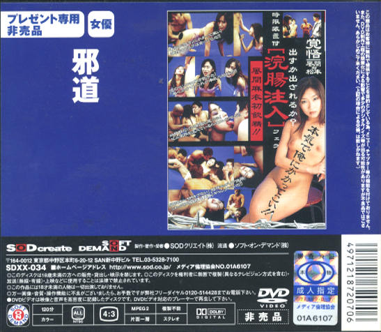 風間麻衣 邪道 (中古DVD)